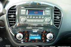 Nissan Juke 15